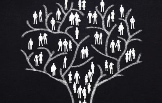 Cómo Descubrir Tus Raíces: La Herramienta Definitiva para Conocer a Tus Ancestros