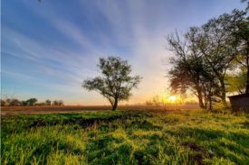 Aplicativo de Mensagens Prontas para Enviar: Conectando Pessoas com Gestos Simples de Afeto
